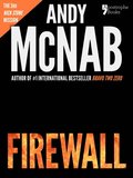 Firewall (Nick Stone Book 3)