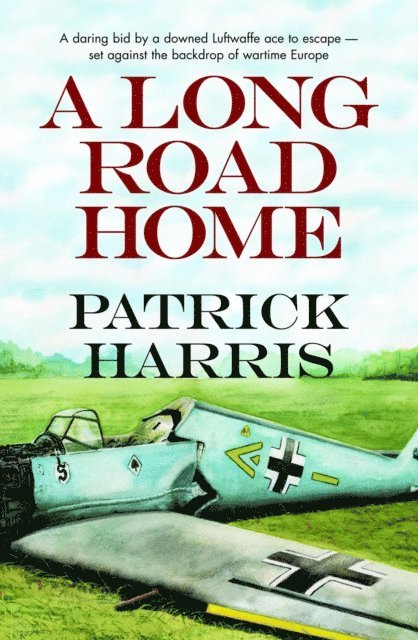 Patrick Harris - Long Road Home, E-bok