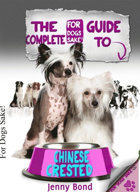 Jenny Bond - Complete Guide To Chinese Crested, E-bok. Tillgänglighet: Lägg i varukorg
