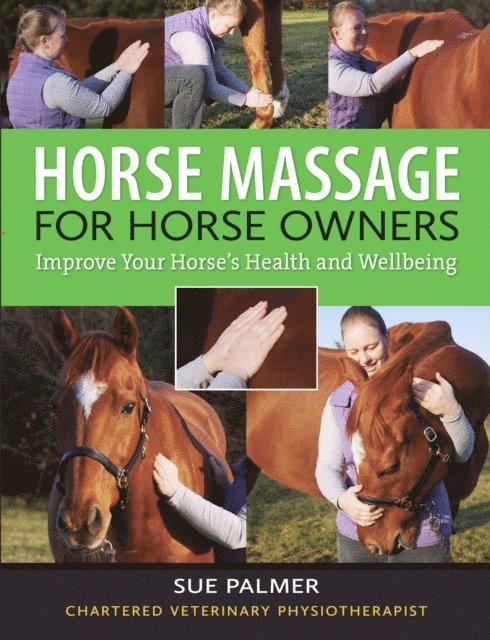 Sue Palmer - Horse Massage for Horse Owners, E-bok