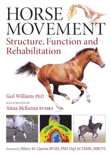 Gail Williams - Horse Movement, E-bok