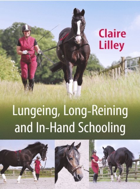 Claire Lilley - Lungeing, Long-Reining and In-Hand Schooling, E-bok