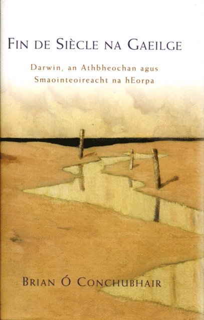 Brian O Conchubhair - Fin de Siècle na Gaeilge, E-bok