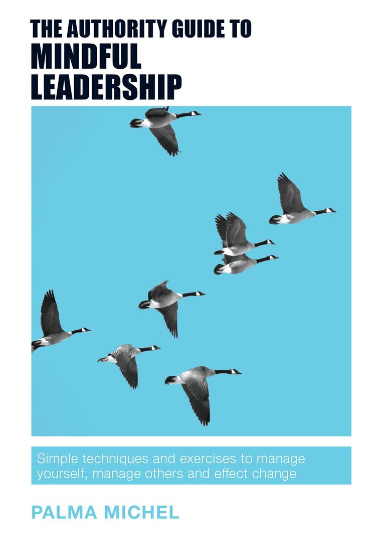 Palma Michel - Authority Guide to Mindful Leadership, Häftad
