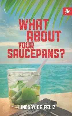 Lindsay De Feliz - What About Your Saucepans?, Häftad