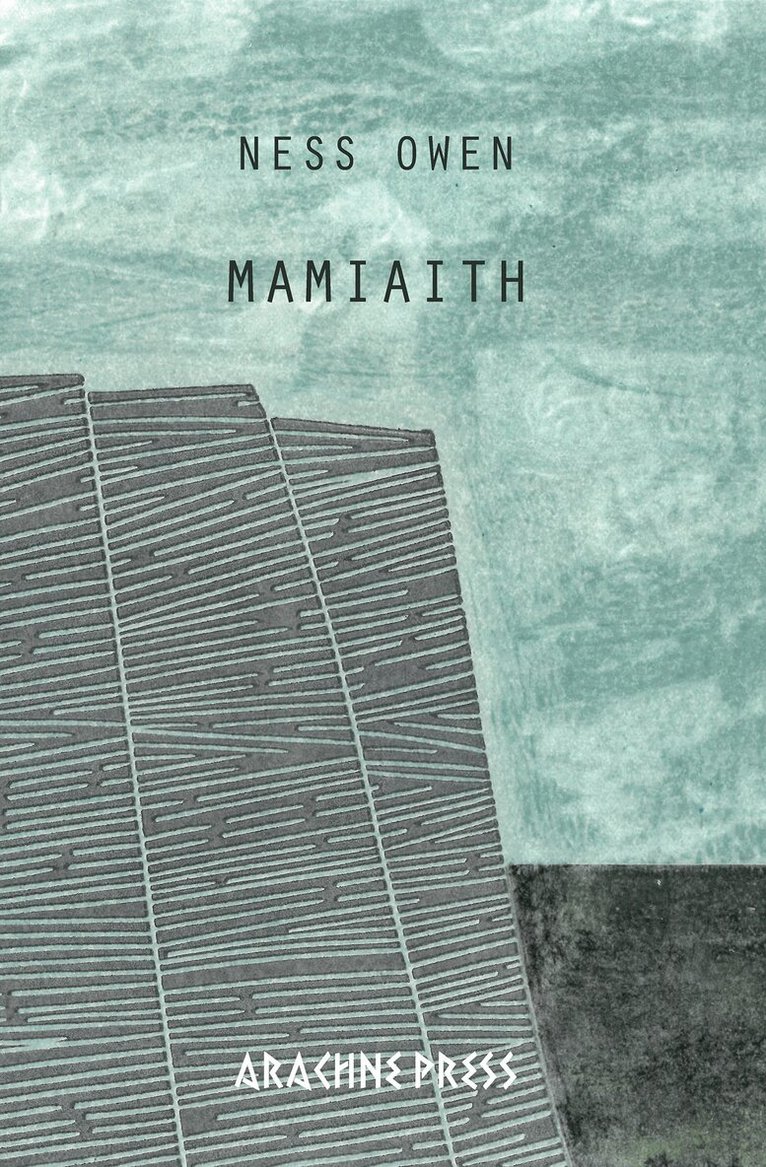 Ness Owen - Mamiaith, Häftad