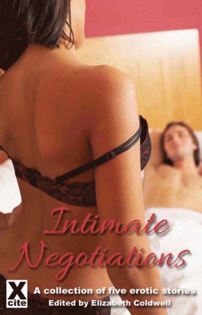 Jodie Johnson-Smith, Alanna Appleton, Dominic Santi, Viva Jones, Elizabeth Coldwell - Intimate Negotiations, E-bok