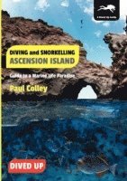 Paul Colley - Diving and Snorkelling Ascension Island, Häftad