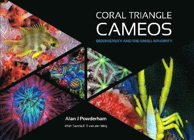 Alan J Powderham - Coral Triangle Cameos, Inbunden