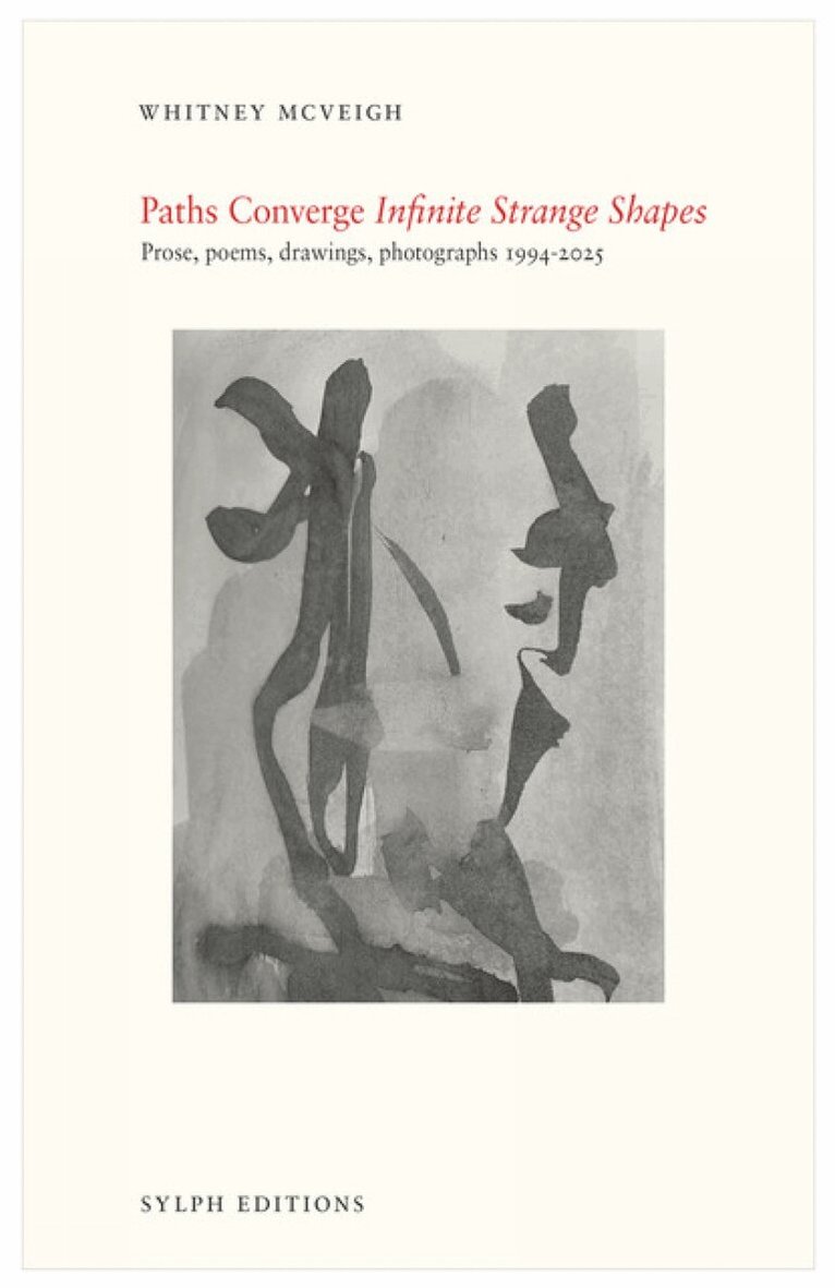 Whitney McVeigh - Paths Converge: Infinite Strange Shapes, Häftad