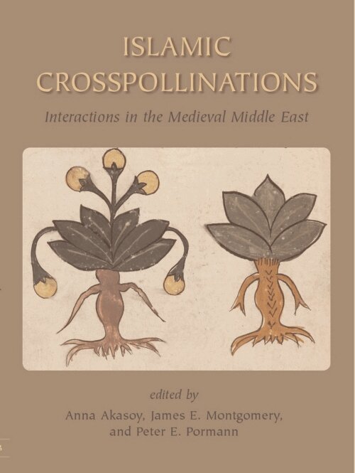 James Montgomery, Anna Ayşe Akasoy, Peter Pormann - Islamic Crosspollinations, E-bok