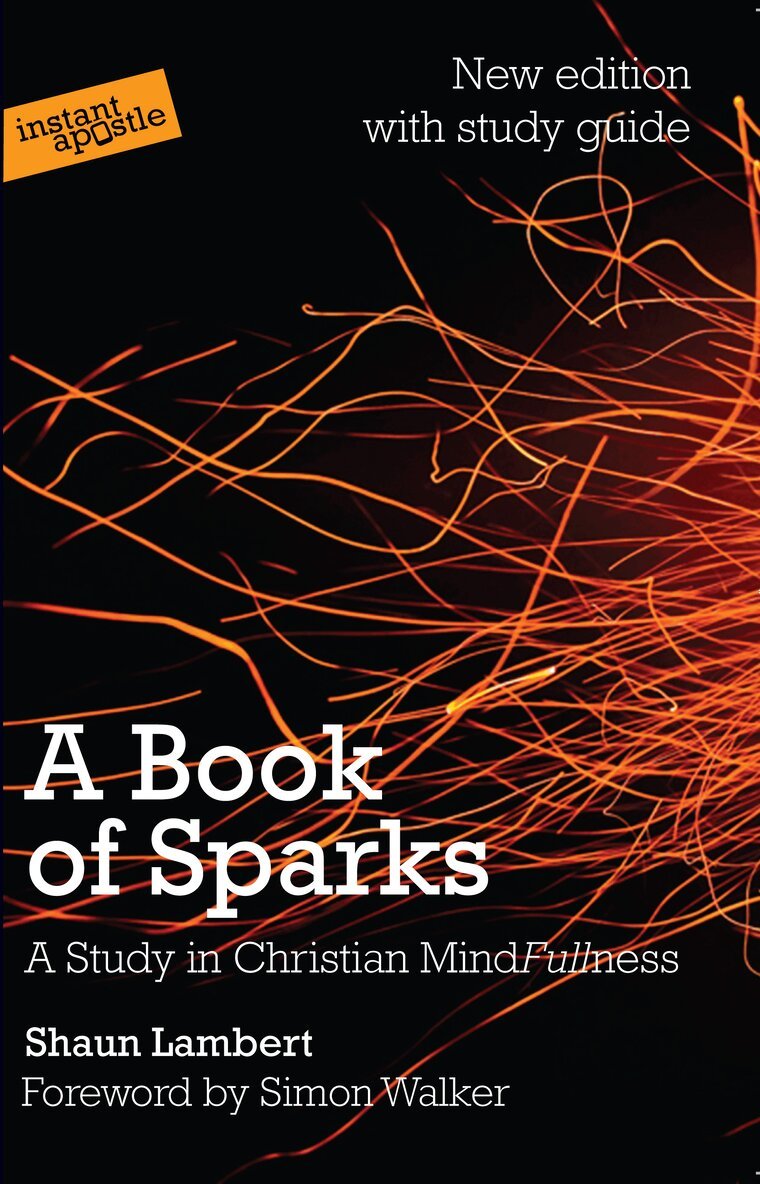 Shaun Lambert - Book of Sparks, Häftad