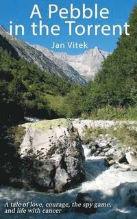 Pebble in the Torrent