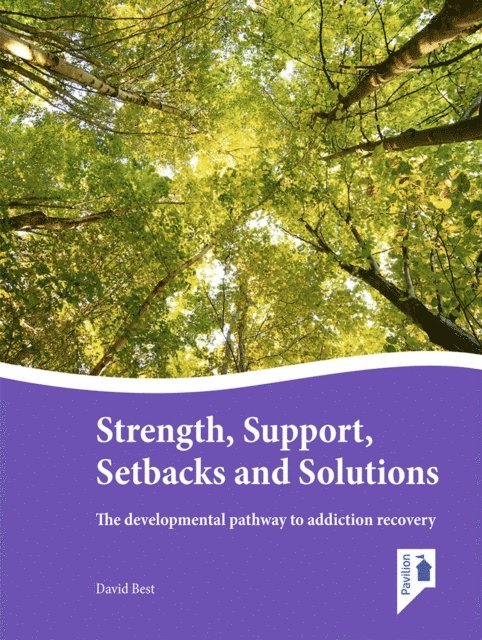 David Best - Strength, Support, Setbacks and Solutions, E-bok