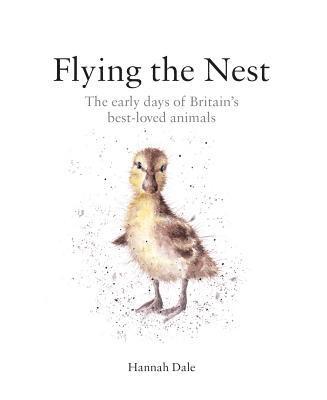 Hannah Dale - Flying the Nest, Inbunden. Tillgänglighet: Tillfälligt slut