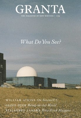 Sigrid Rausing - Granta 159: What Do You See?, Häftad