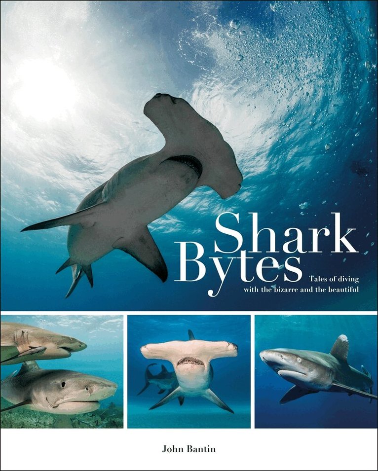 John Bantin - Shark Bytes, E-bok