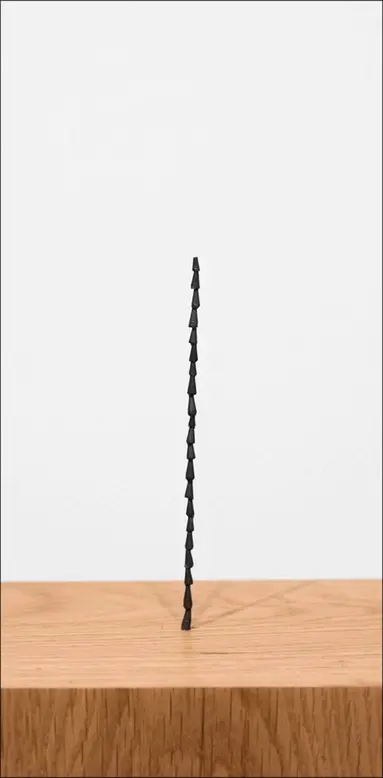 Shilpa Gupta: Sun at Night