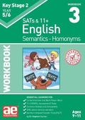KS2 Semantics Year 5/6 Workbook 3 - Homonyms