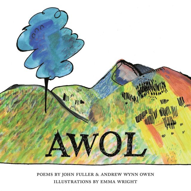 Andrew Wynn Owen, John Fuller - AWOL, E-bok