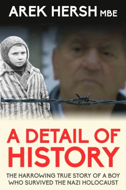 Arek Hersh - Detail Of History, E-bok