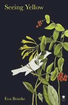 Eva Bourke - Seeing Yellow, Häftad. Tillgänglighet: Lägg i varukorg