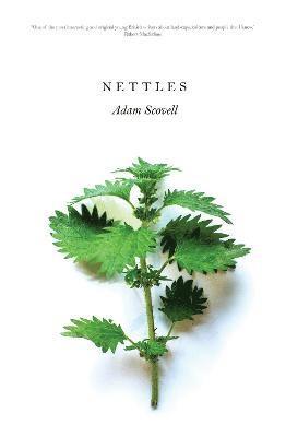 Adam Scovell - Nettles, Häftad