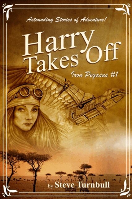 Steve Turnbull - Harry Takes Off, E-bok