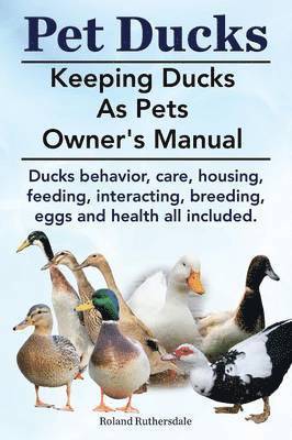Roland Ruthersdale - Pet Ducks. Keeping Ducks as Pets Owner's Manual. Ducks Behavior, Care, Housing, Feeding, Interacting, Breeding, Eggs and Health All Included., Häftad