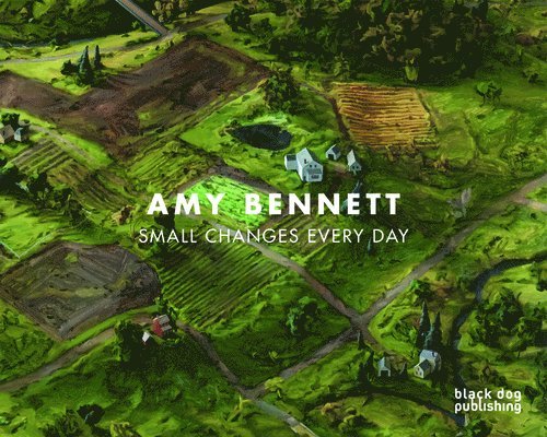 Amy Bennett: Small Changes Every Day, Inbunden. Tillgänglighet: Tillfälligt slut
