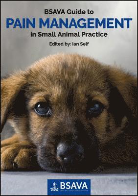 Ian Self - BSAVA Guide to Pain Management in Small Animal Practice, Häftad