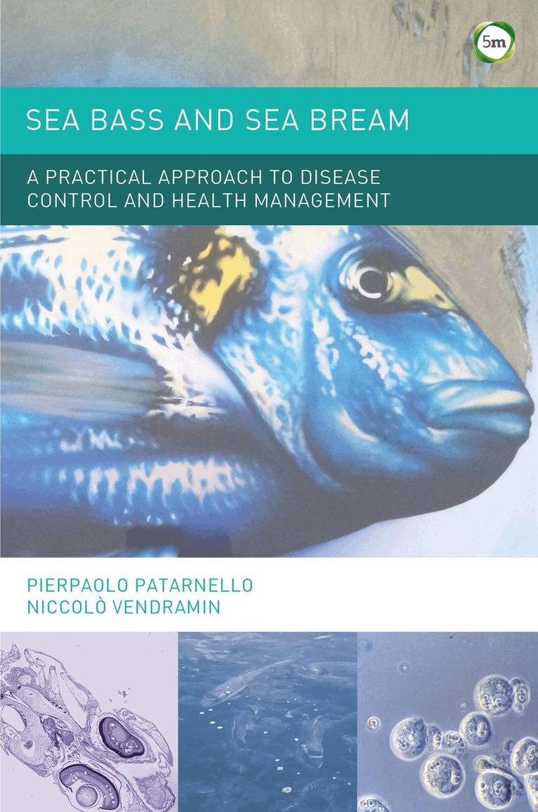 Pierpaolo Patarnello, Niccolò Vendramin - Sea Bass and Sea Bream, Inbunden