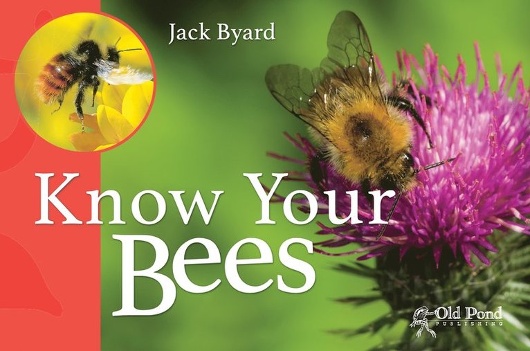 Jack Byard - Know Your Bees, Häftad