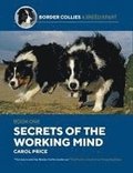Secrets Of The Working Mind