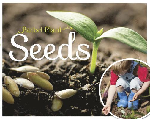 Gemma McMullen - Seeds, Inbunden