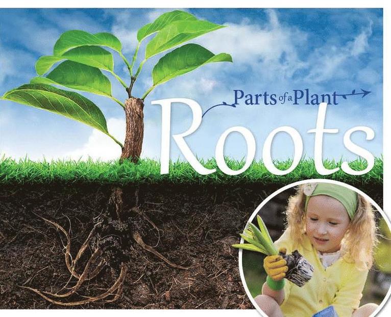 Gemma McMullen - Roots, Inbunden