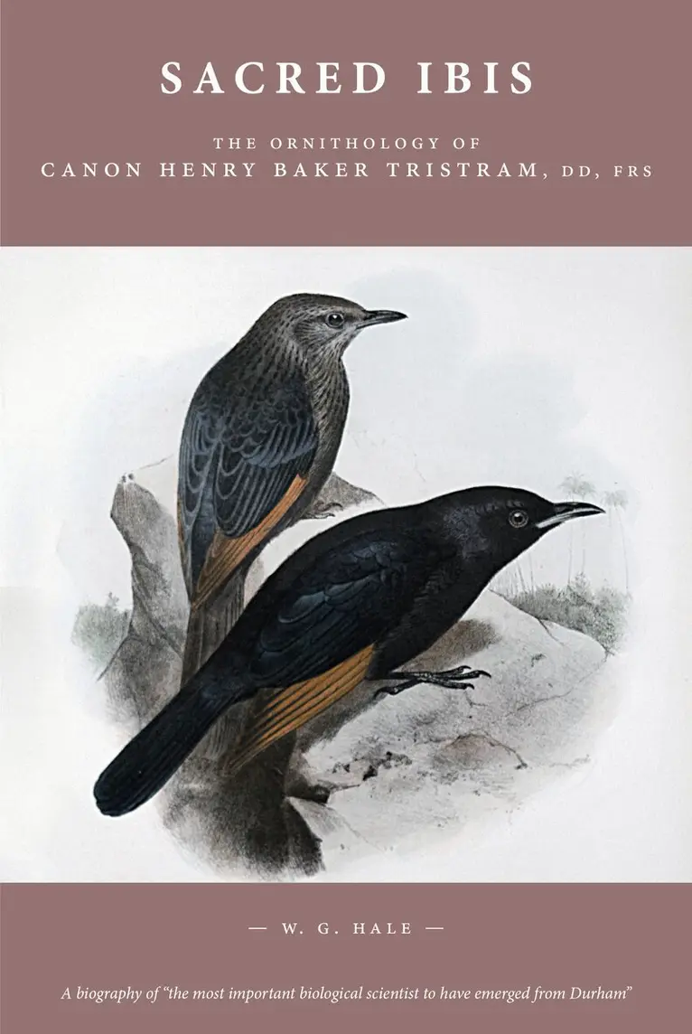 W. G. Hale - Sacred Ibis, Inbunden. Tillgänglighet: Lägg i varukorg