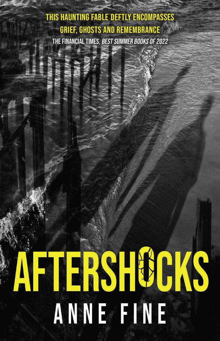 Anne Fine - Aftershocks, Häftad