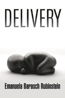 Emanuela Barasch Rubinstein - Delivery, Häftad. Tillgänglighet: Tillfälligt slut