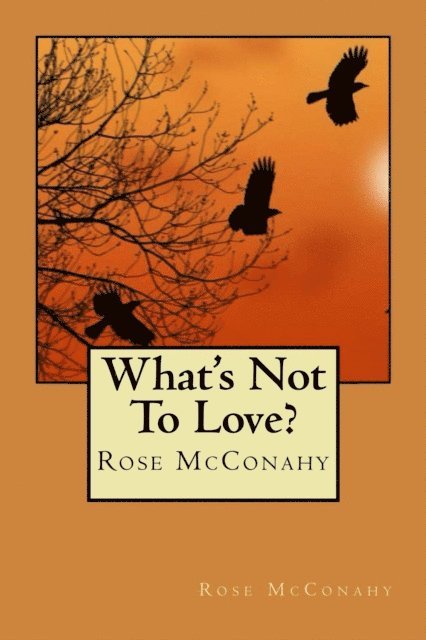 Rose McConahy - What's Not To Love?, E-bok