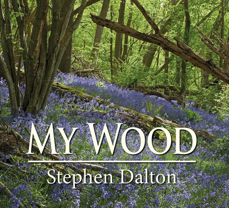Stephen Dalton - My Wood, Inbunden