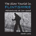 Slow Tourist in Flintshir