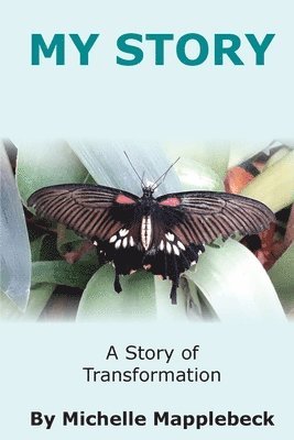 Michelle Mapplebeck - My Story, Häftad