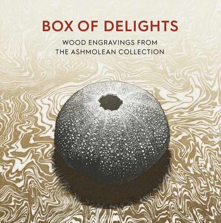 Anne Desmet - Box of Delights, Häftad