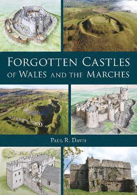 Paul R. Davis - Forgotten Castles of Wales and the Marches, Häftad