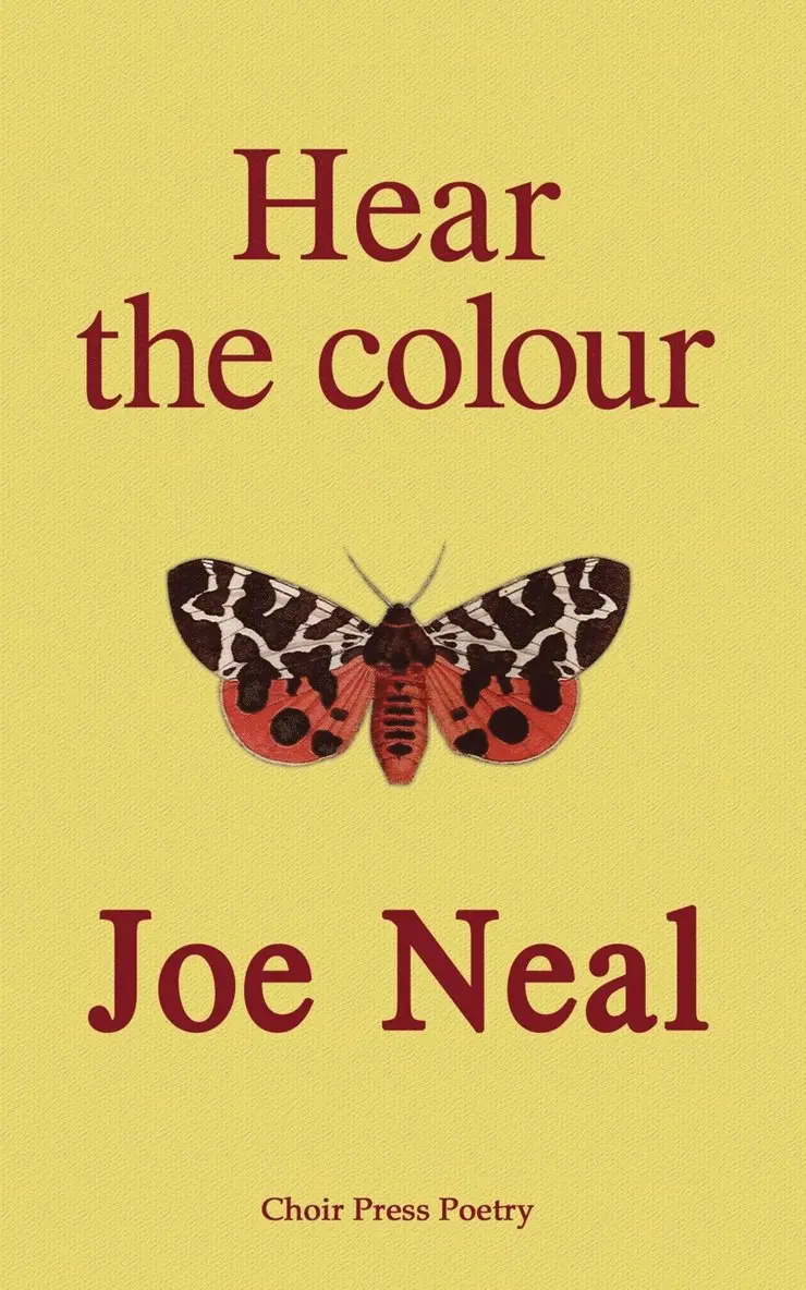 Joe Neal - Hear the colour, Häftad. Tillgänglighet: Lägg i varukorg