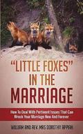 Little Foxes in the Marriage