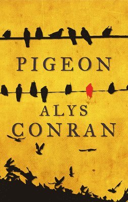 Alys Conran - Pigeon, Häftad