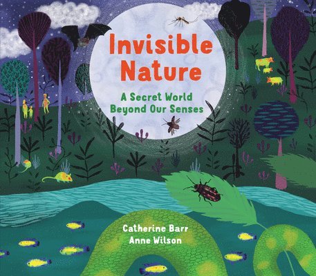 Catherine Barr - Invisible Nature: A Secret World Beyond Our Senses, Inbunden