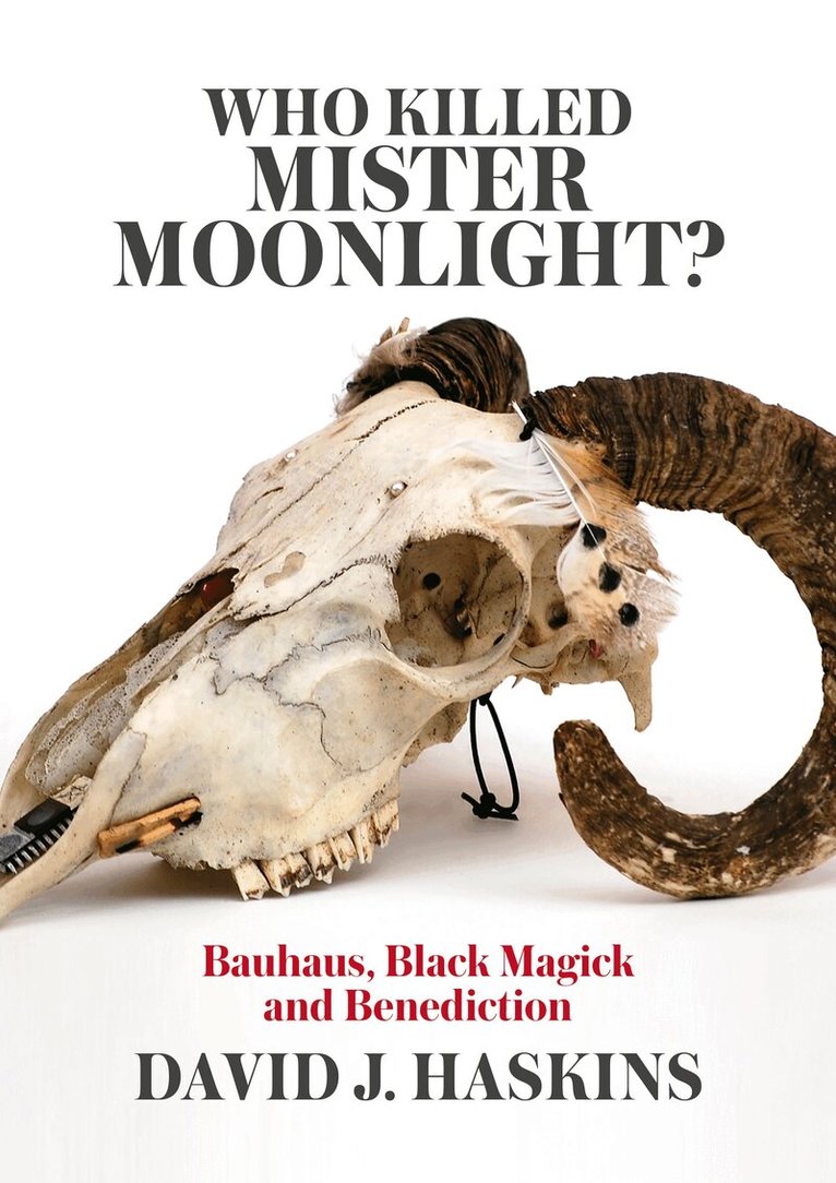 David J. Haskins - Who Killed Mister Moonlight, Häftad